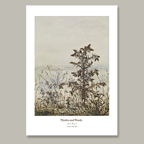 Thistles and Weeds 명화 인테리어액자