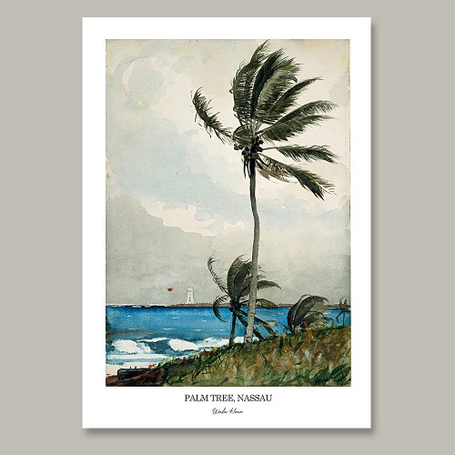 Palm Tree, Nassau 명화액자 인테리어액자