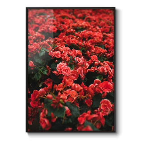 Vintage Red flower 감성 사진 포스터 인테리어액자