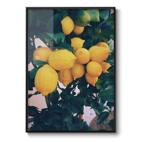 Vintage lemon 감성 사진 포스터 인테리어액자